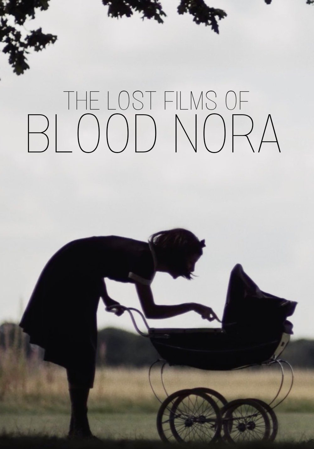 Постер The Lost Films of Bloody Nora